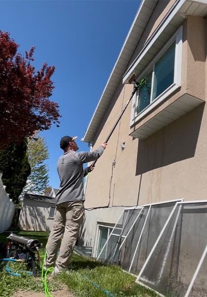 Professional window cleaning service