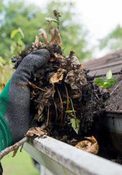 Gutter Cleaning Service